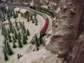 501-24.jpg